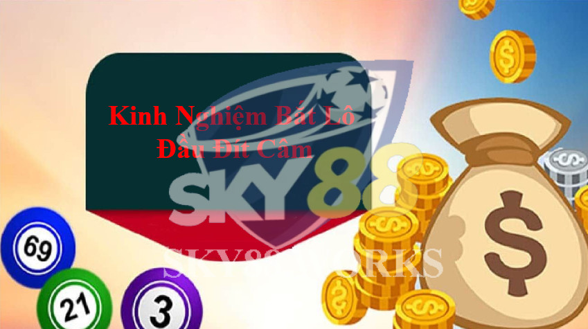 kinh nghiệm bắt lô khi lô đầu đít câm