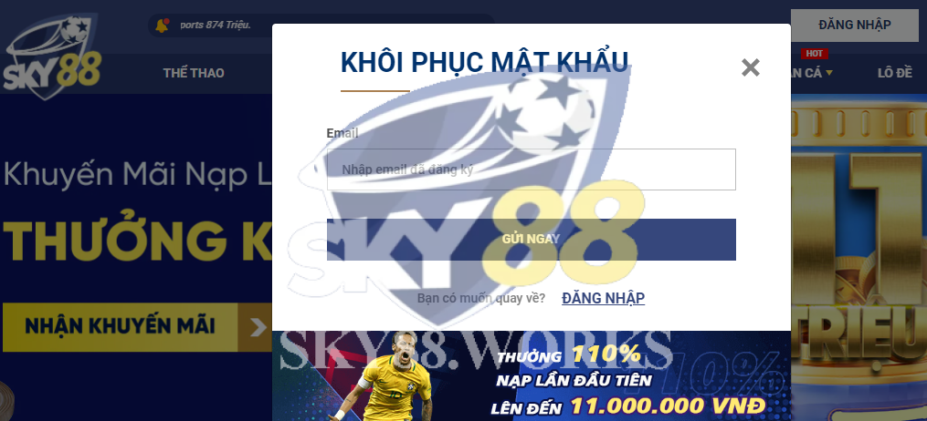 lưu ý khi đăng nhập sky88