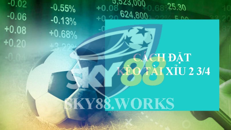 cách đặt kèo tài xỉu 2 3/4
