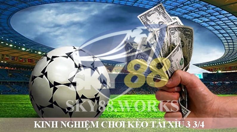 Bật mí phương pháp soi kèo tài xỉu 3 3/4 cực chuẩn