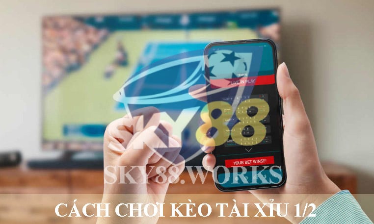 cách chơi kèo tài xỉu 1/2