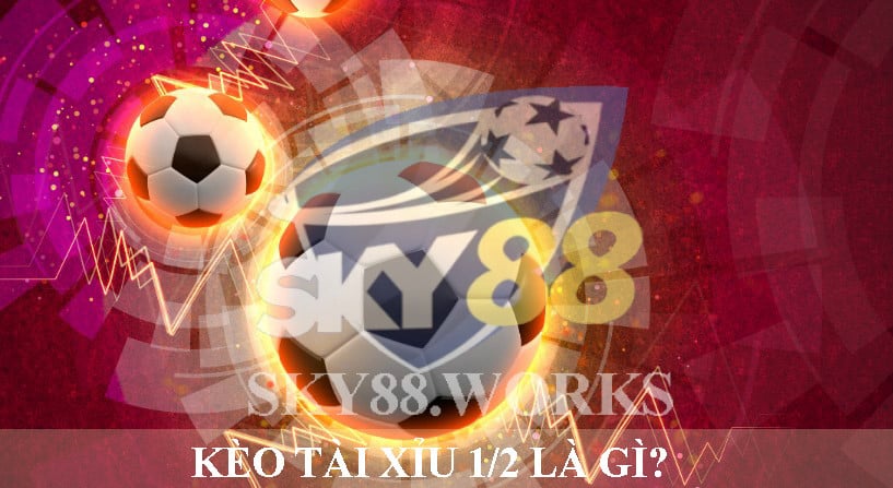 kèo tài xỉu 1/2 là gì